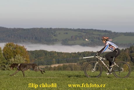 Svycarsko 05 - 0560.jpg